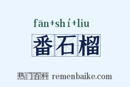 番石榴是什么意思的图片